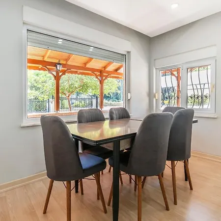 Near By The Land Of Legends , Rose